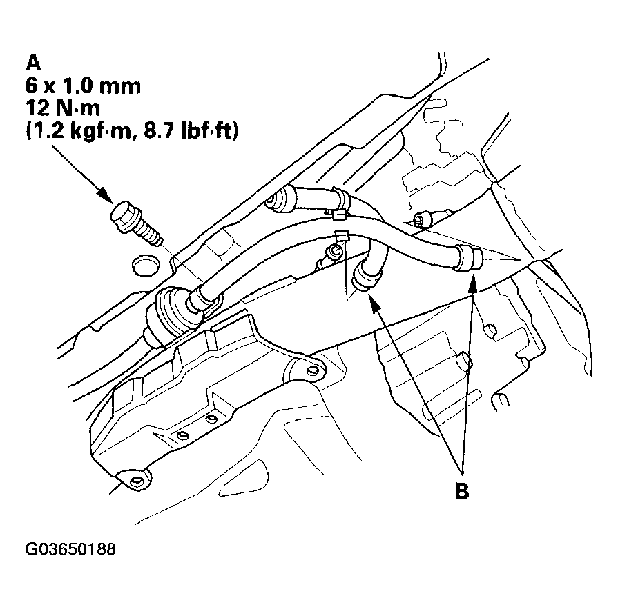 G03650188