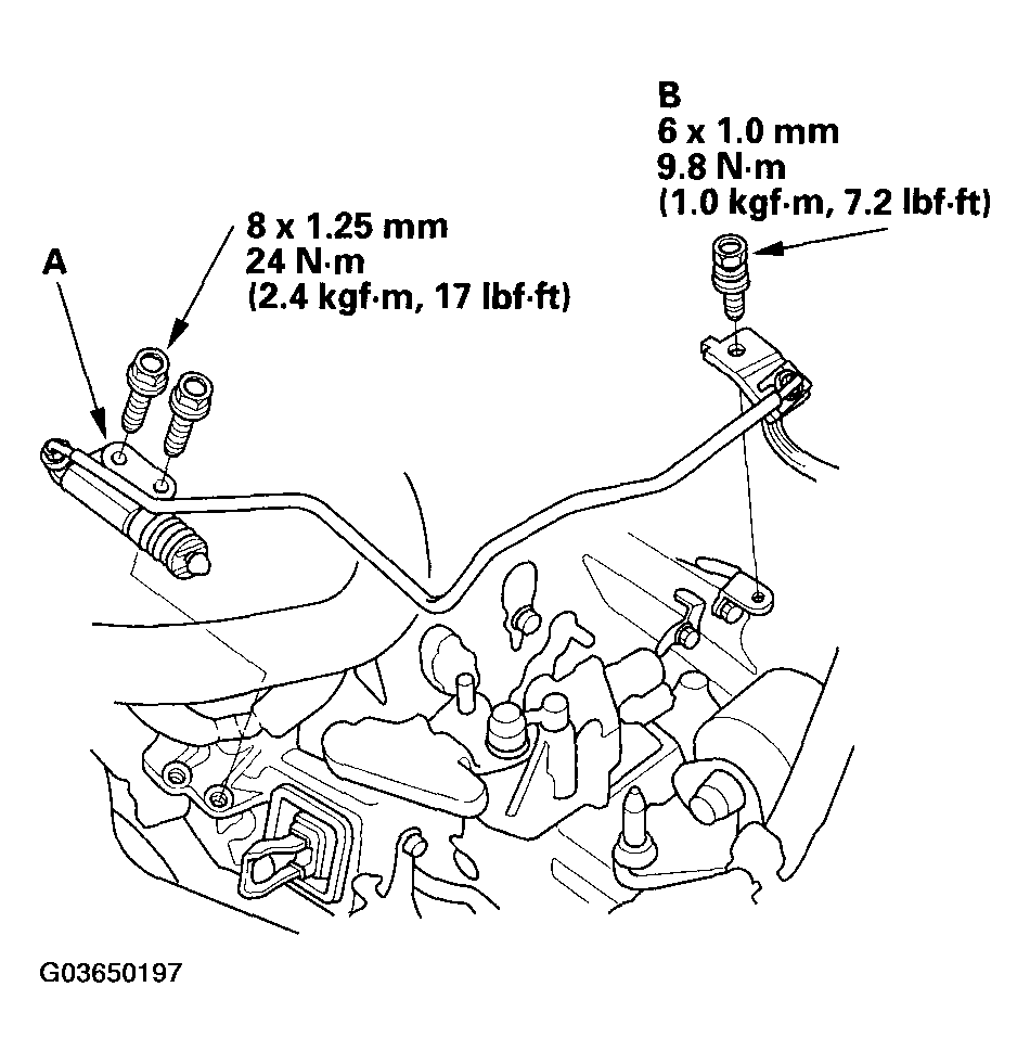 G03650197