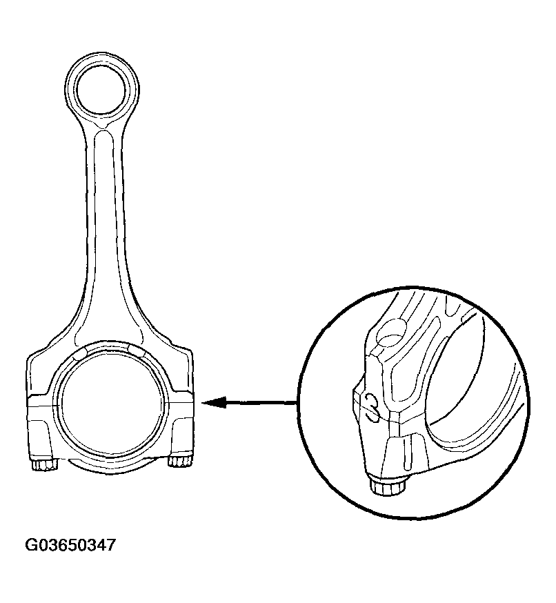G03650347