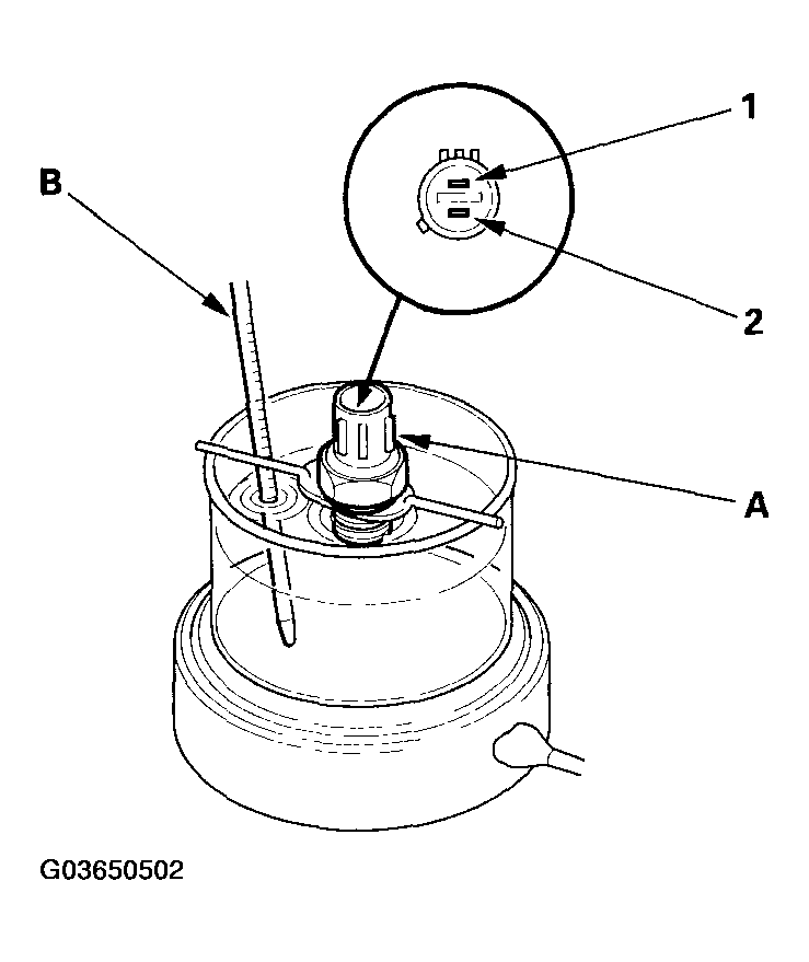 G03650502