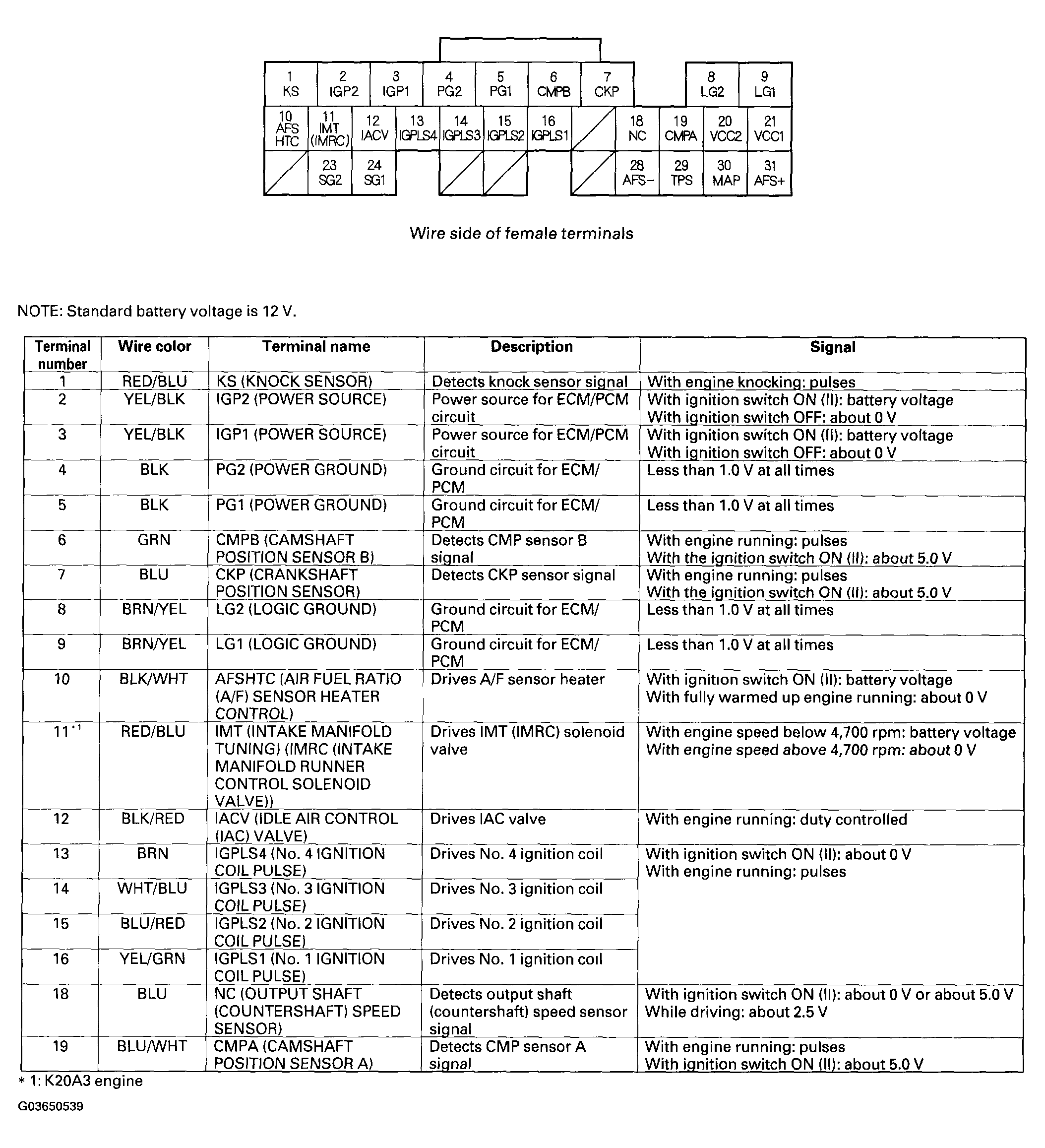 G03650539