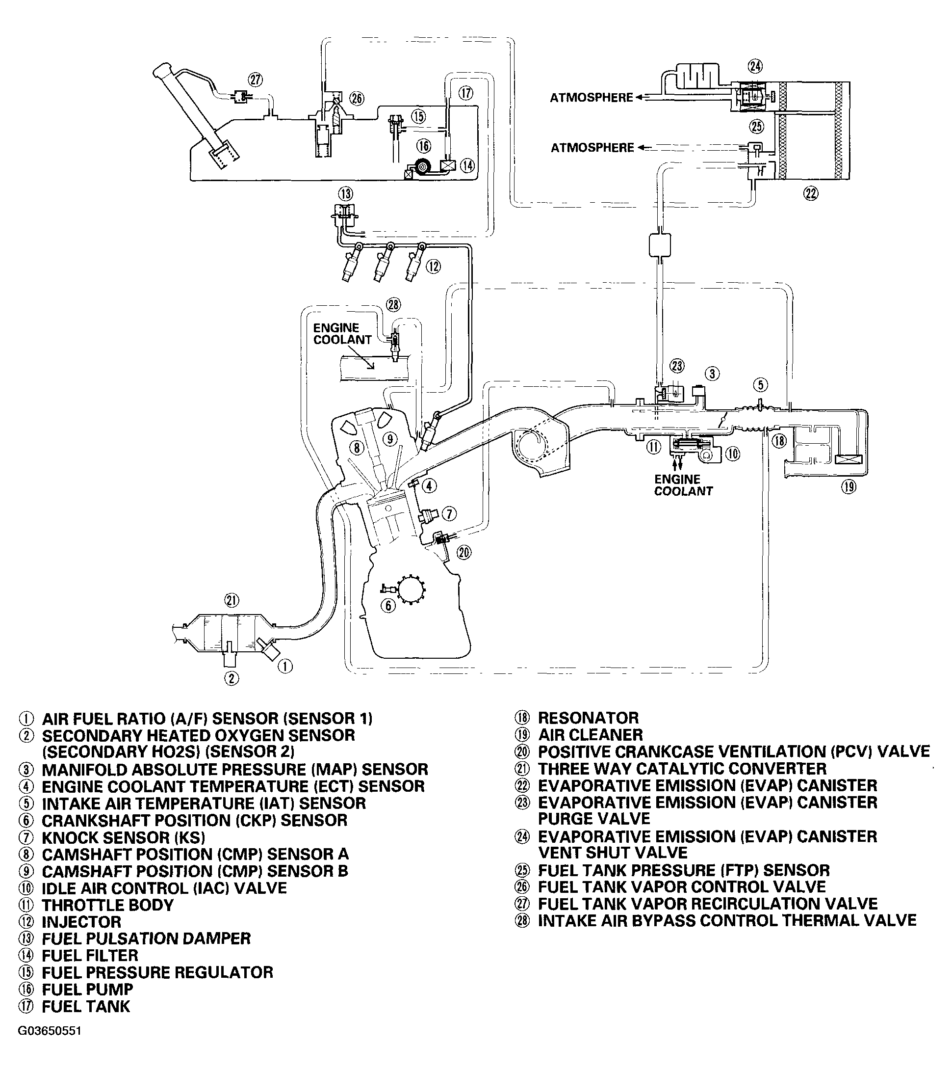 G03650551