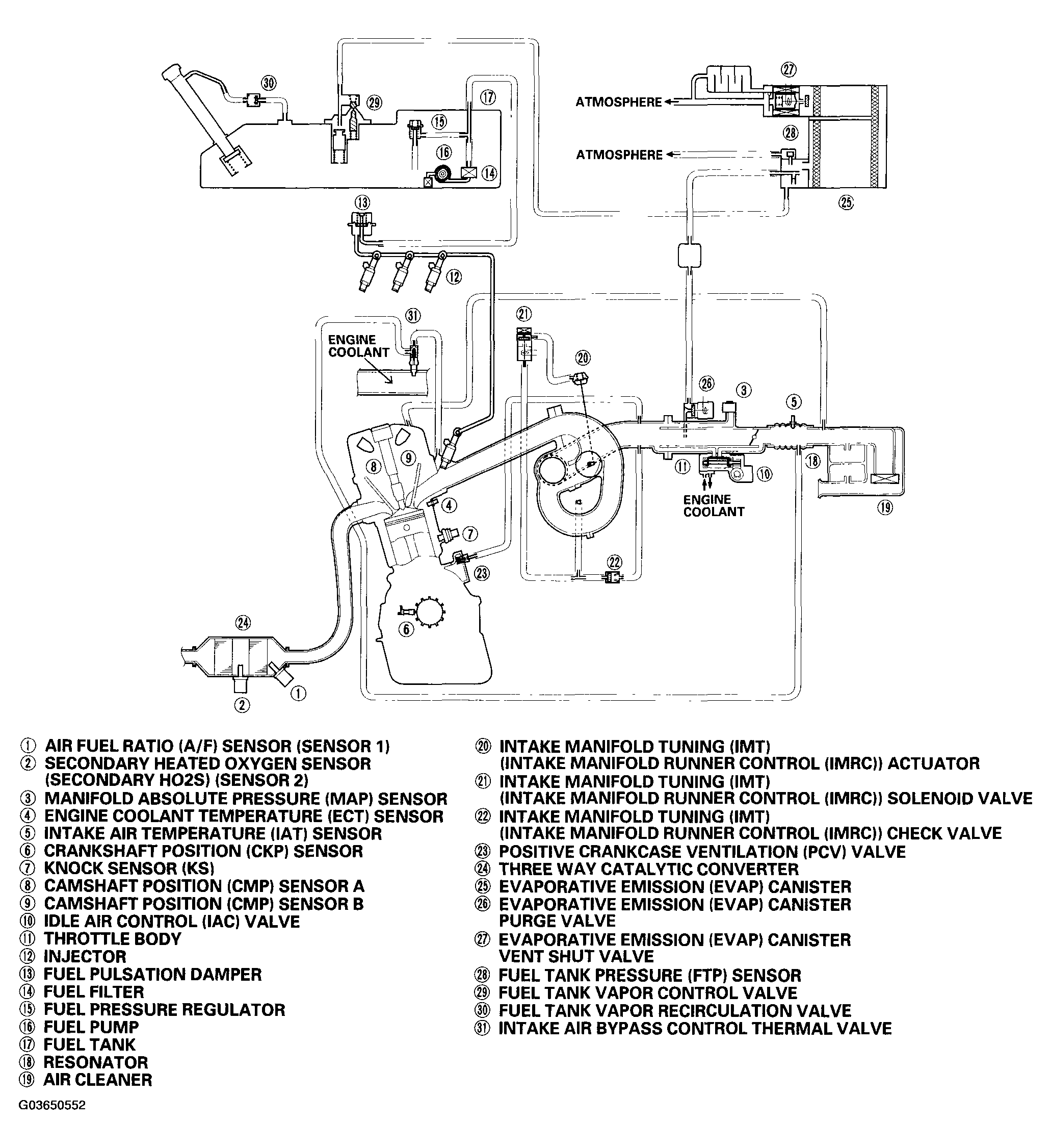 G03650552