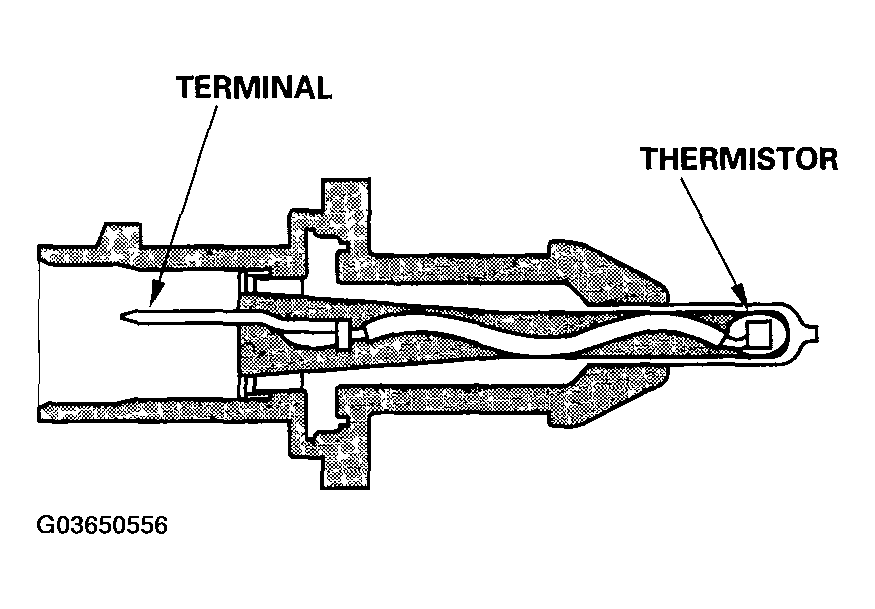 G03650556