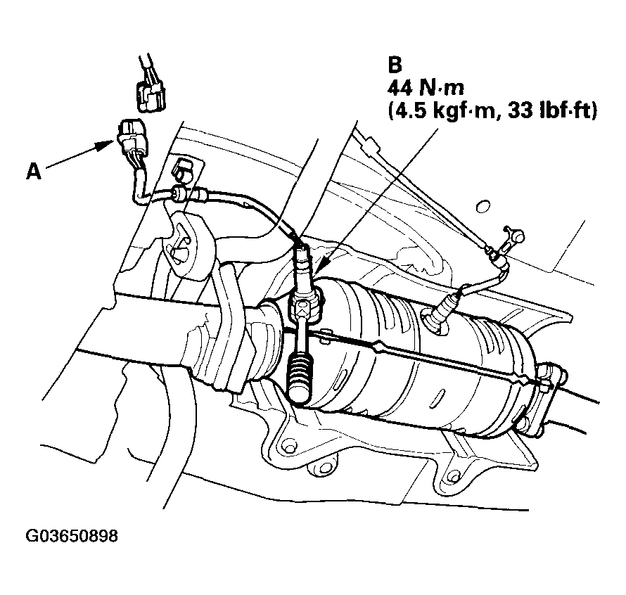 G03650898