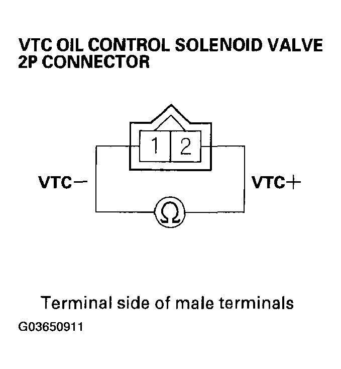 G03650911