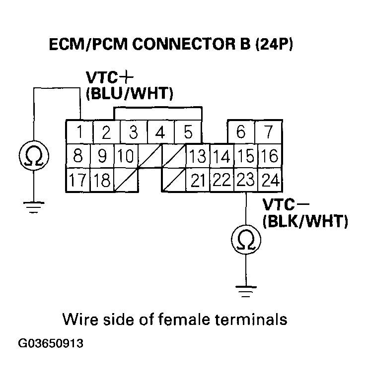 G03650913