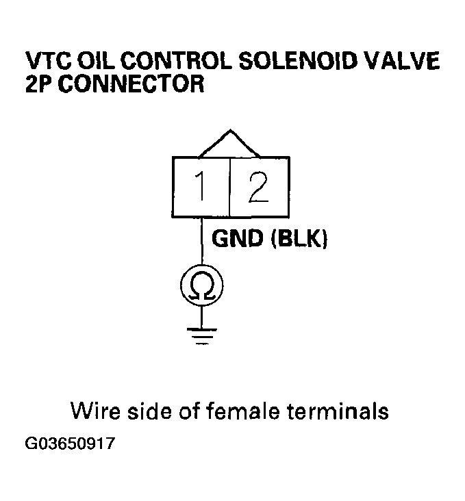 G03650917