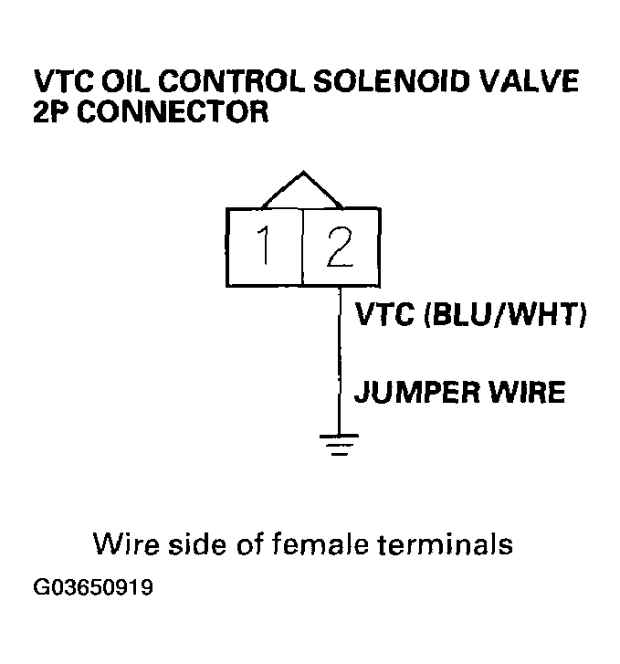 G03650919