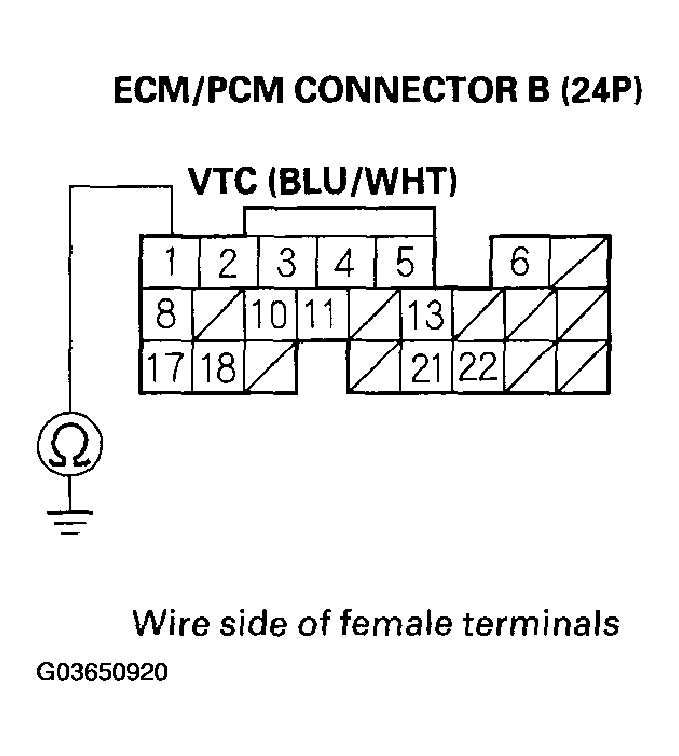 G03650920