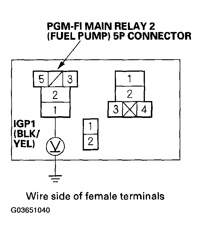 G03651040