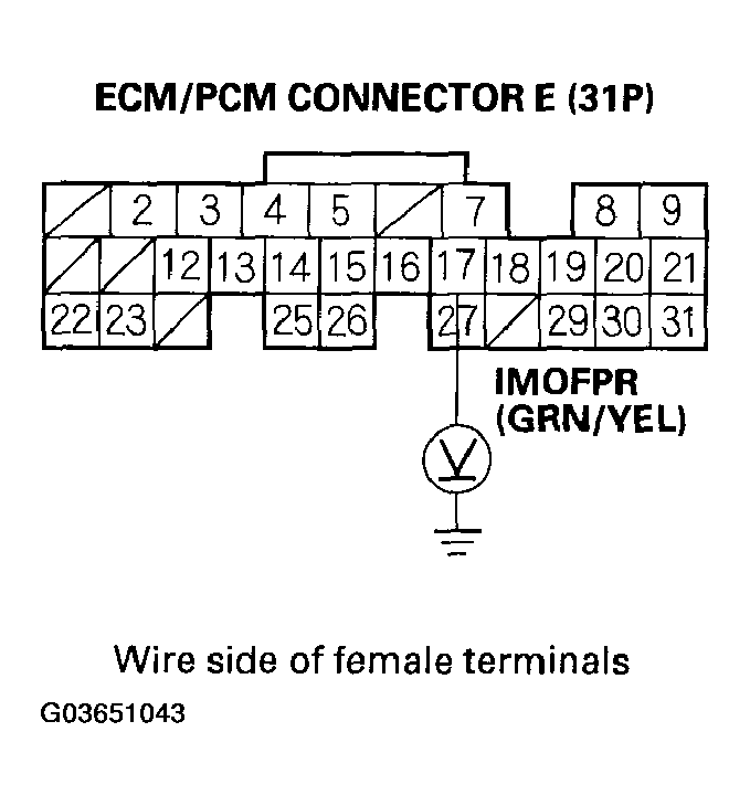 G03651043