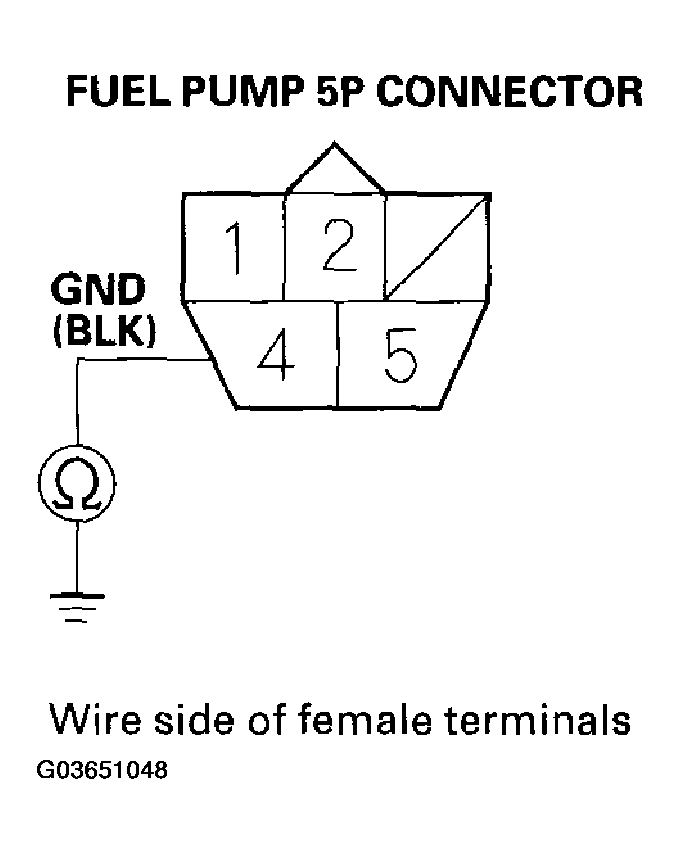 G03651048