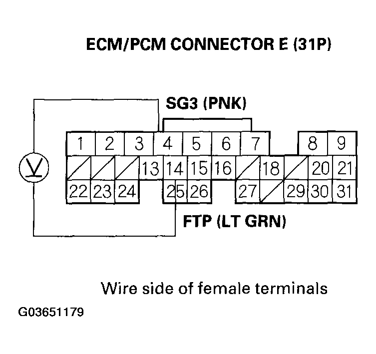 G03651179