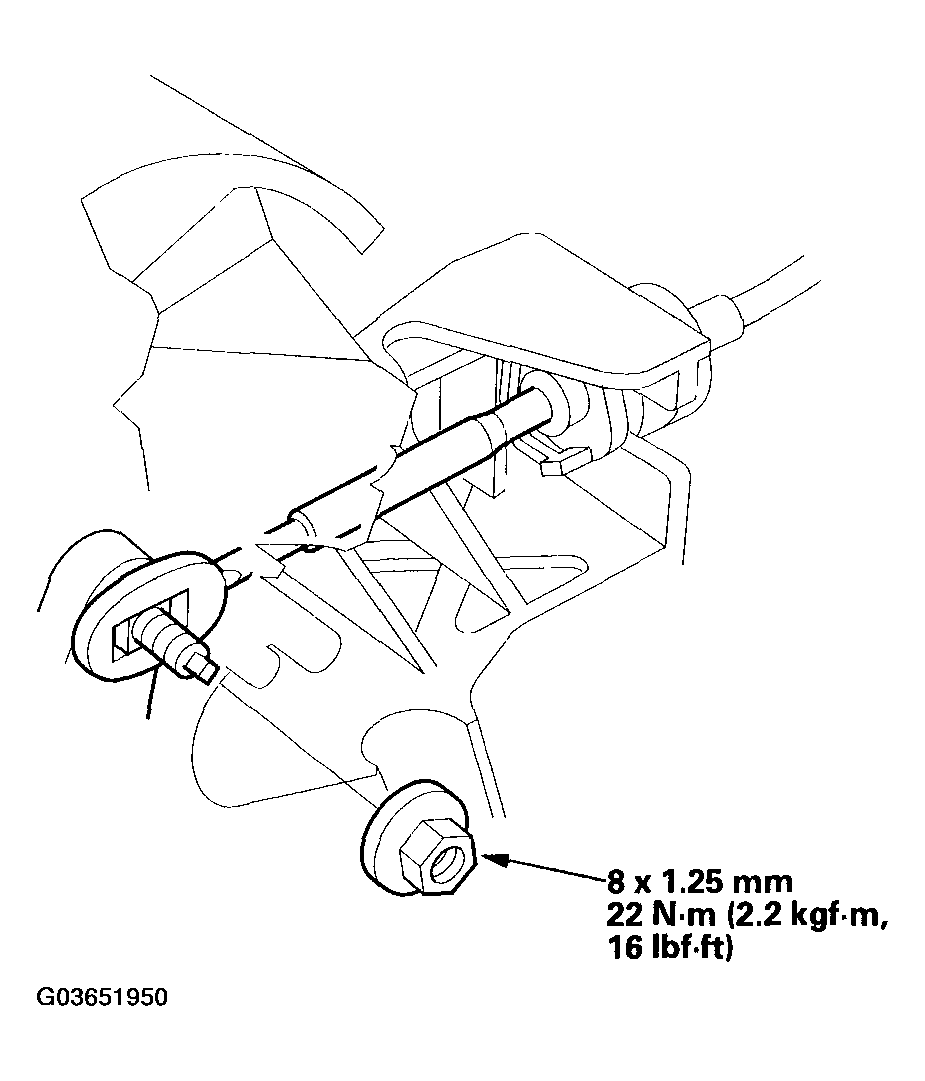 G03651950