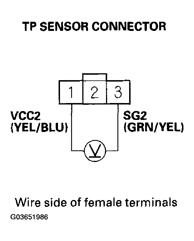 G03651986