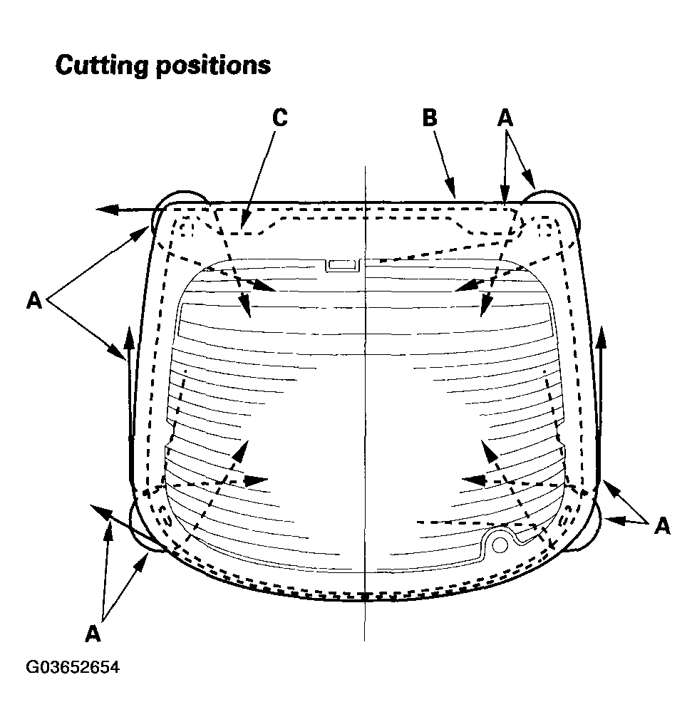 G03652654