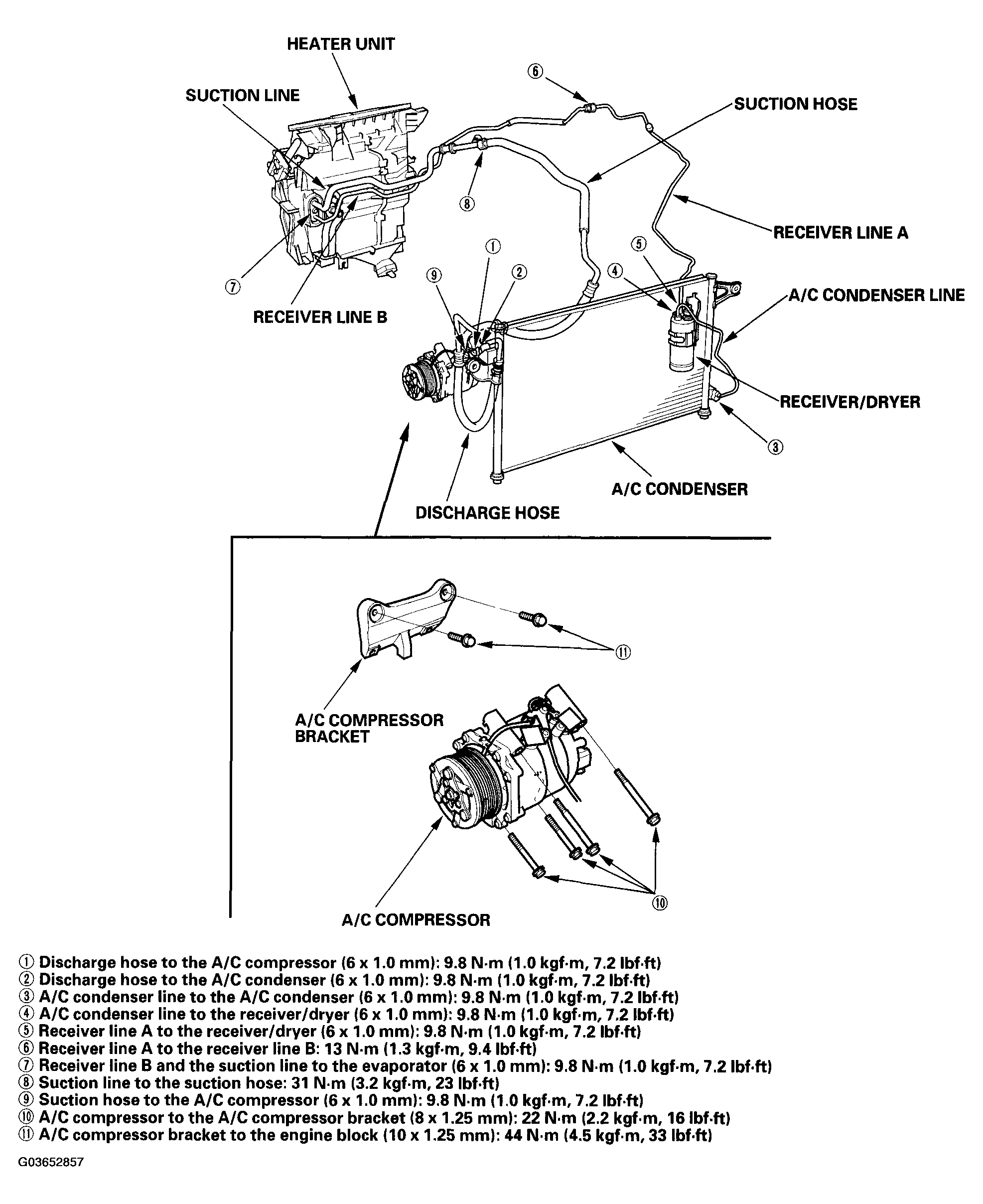 G03652857