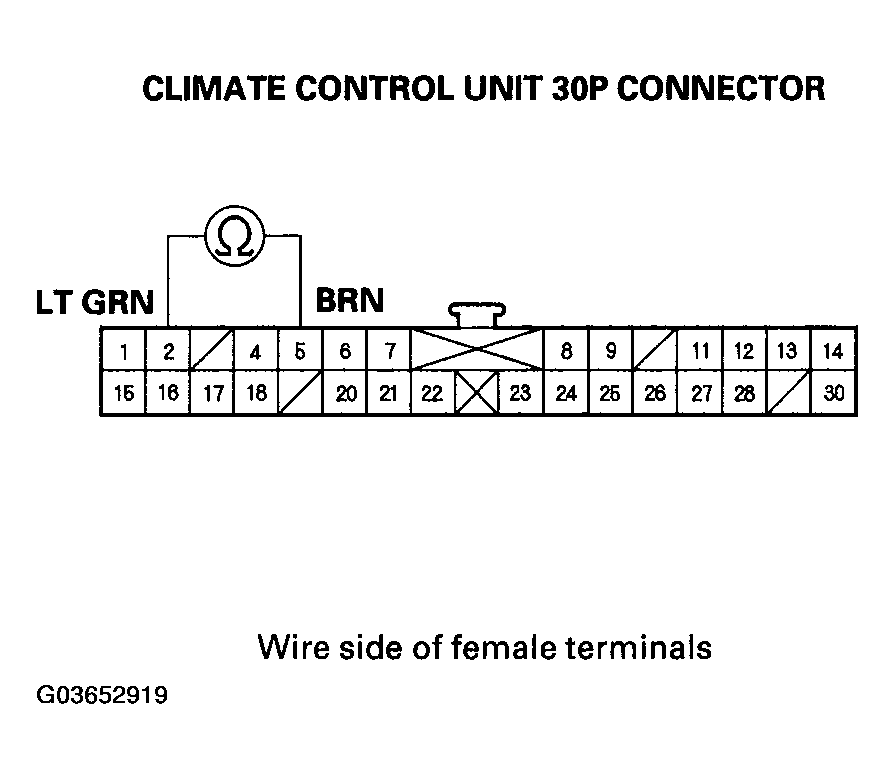 G03652919