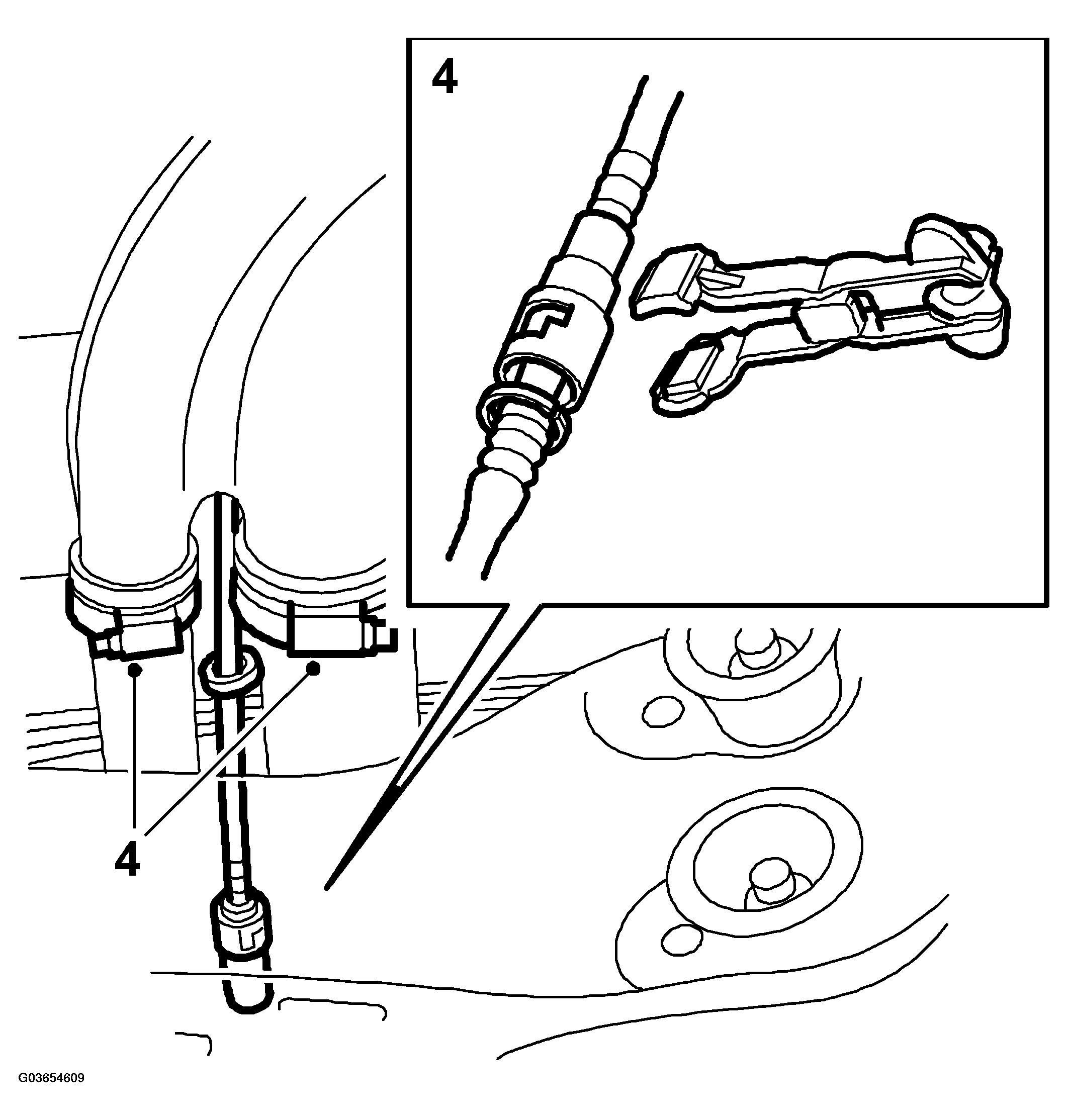 G03654609