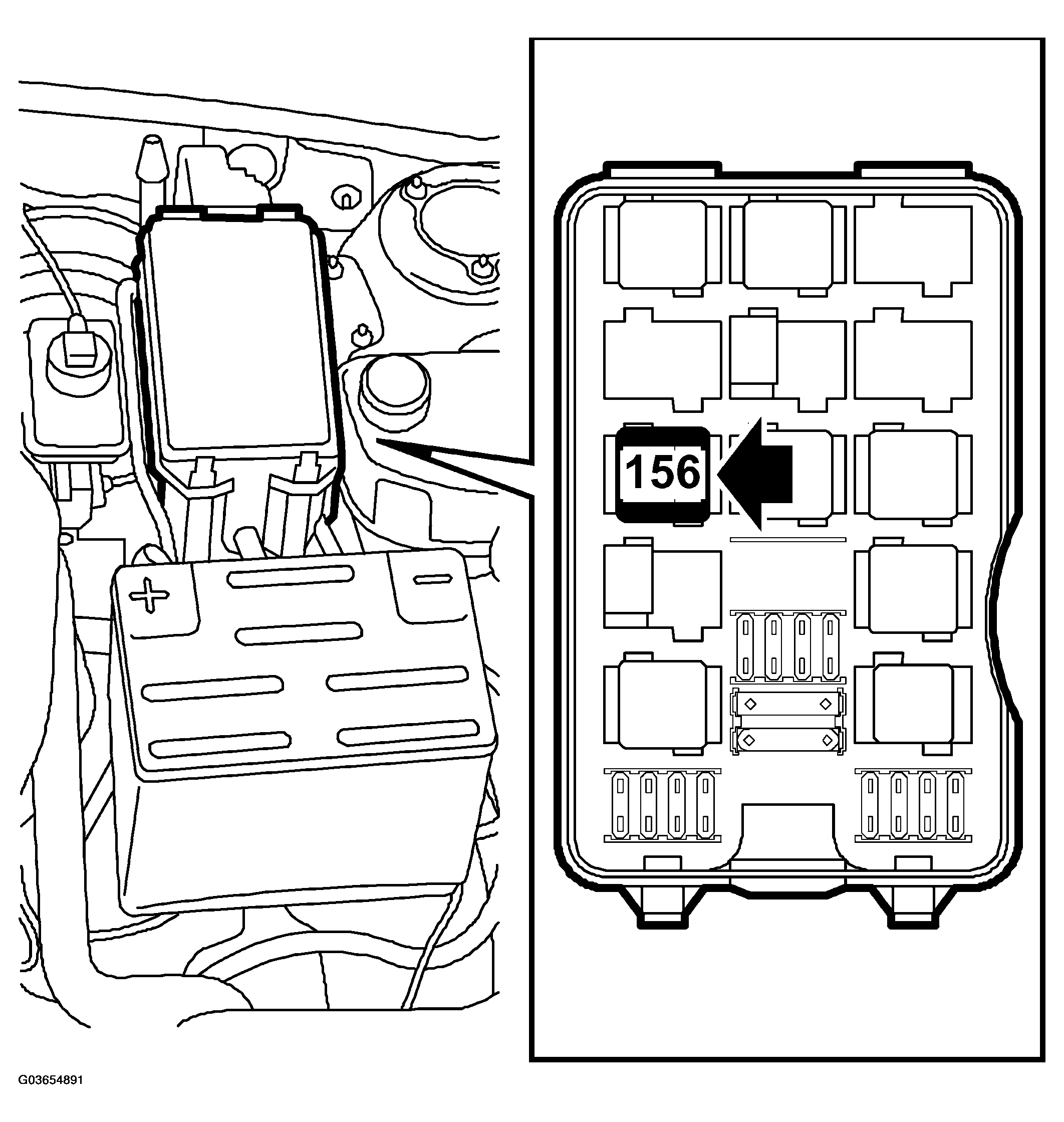 G03654891