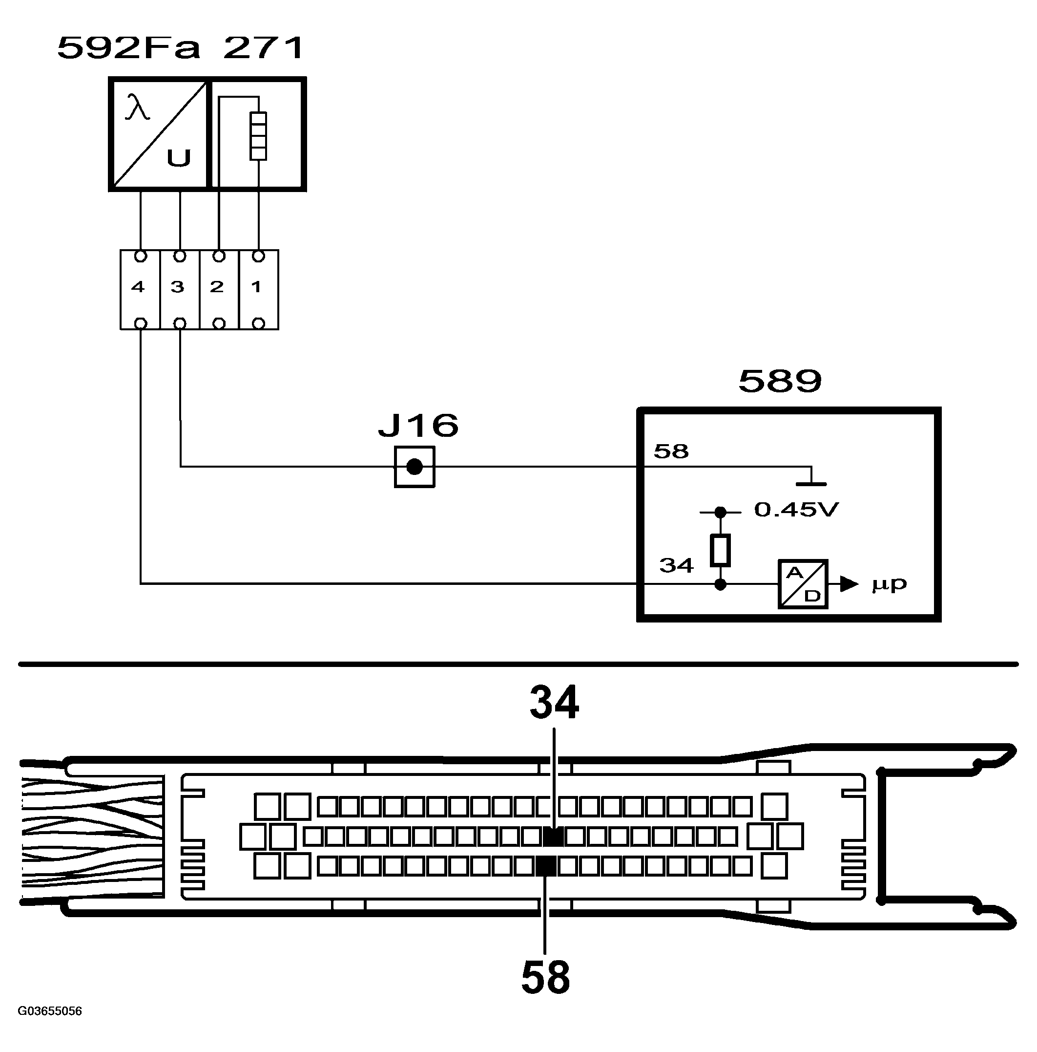 G03655056