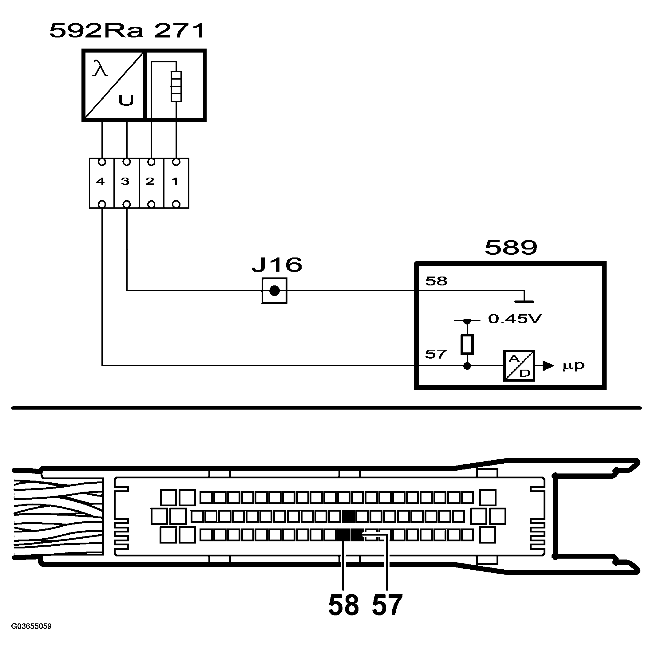 G03655059