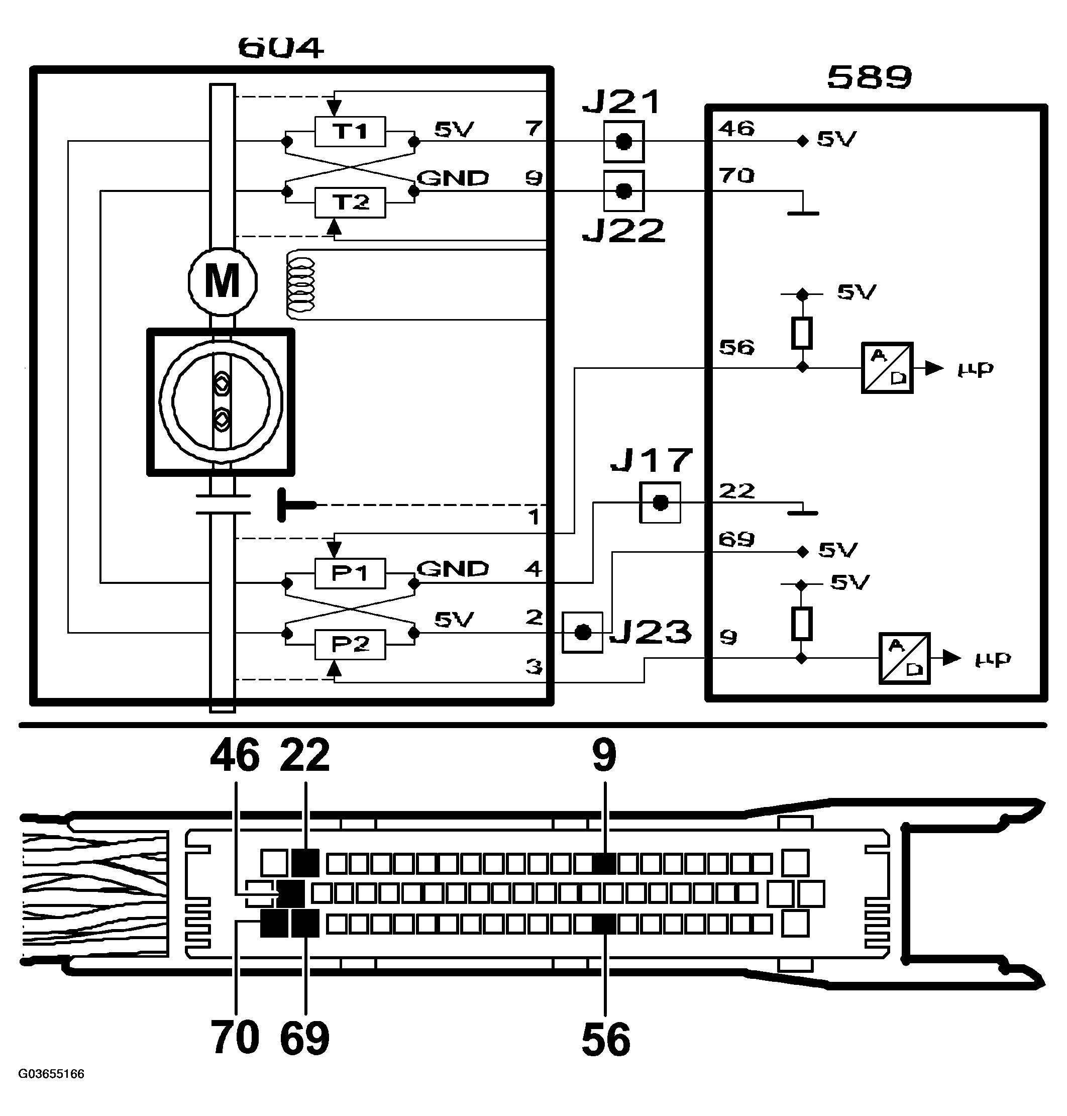 G03655166