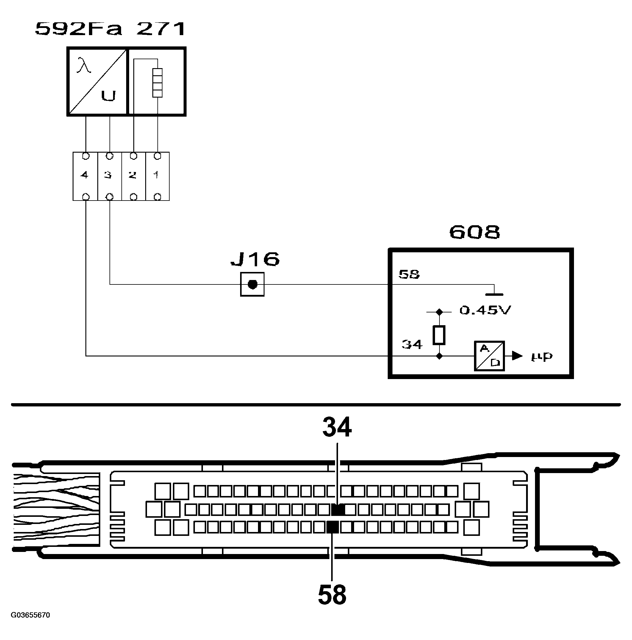 G03655670