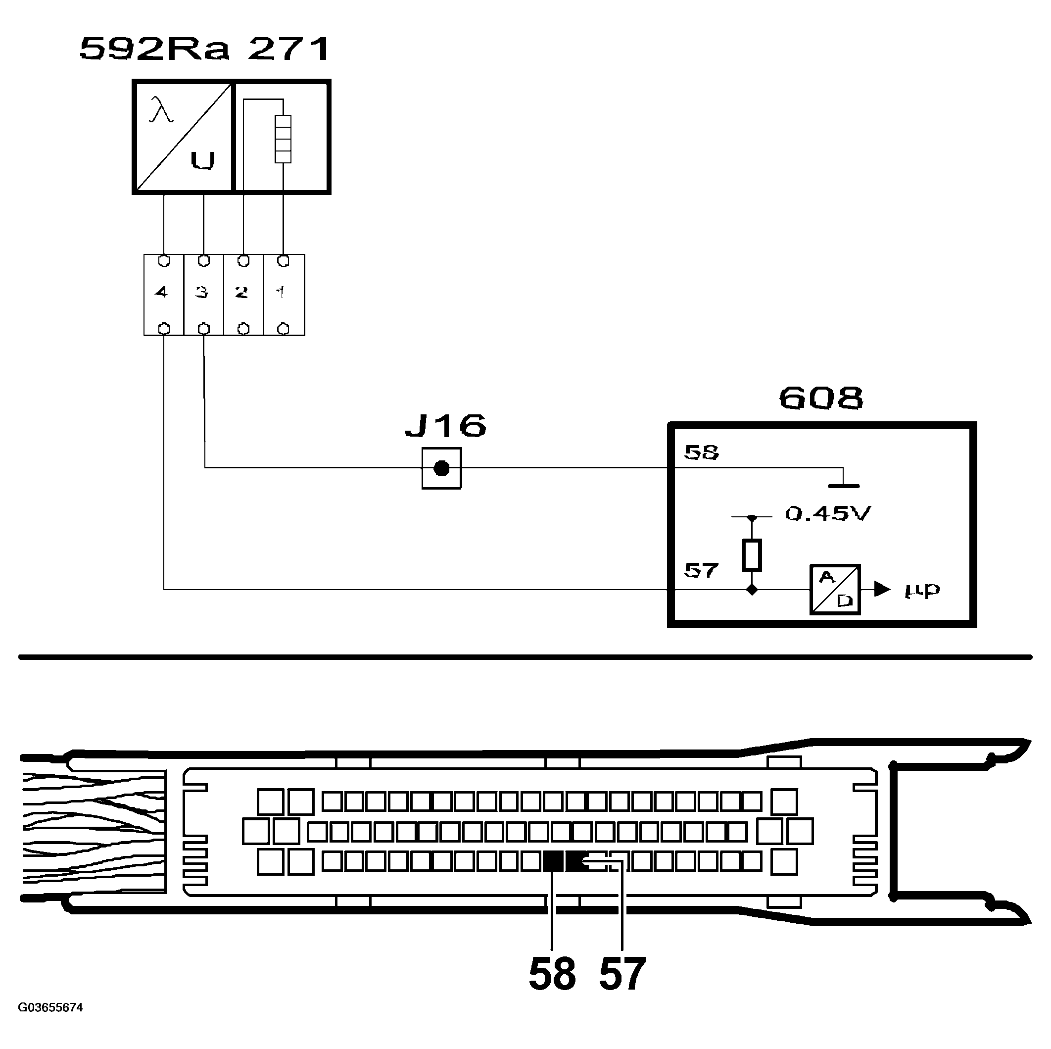 G03655674