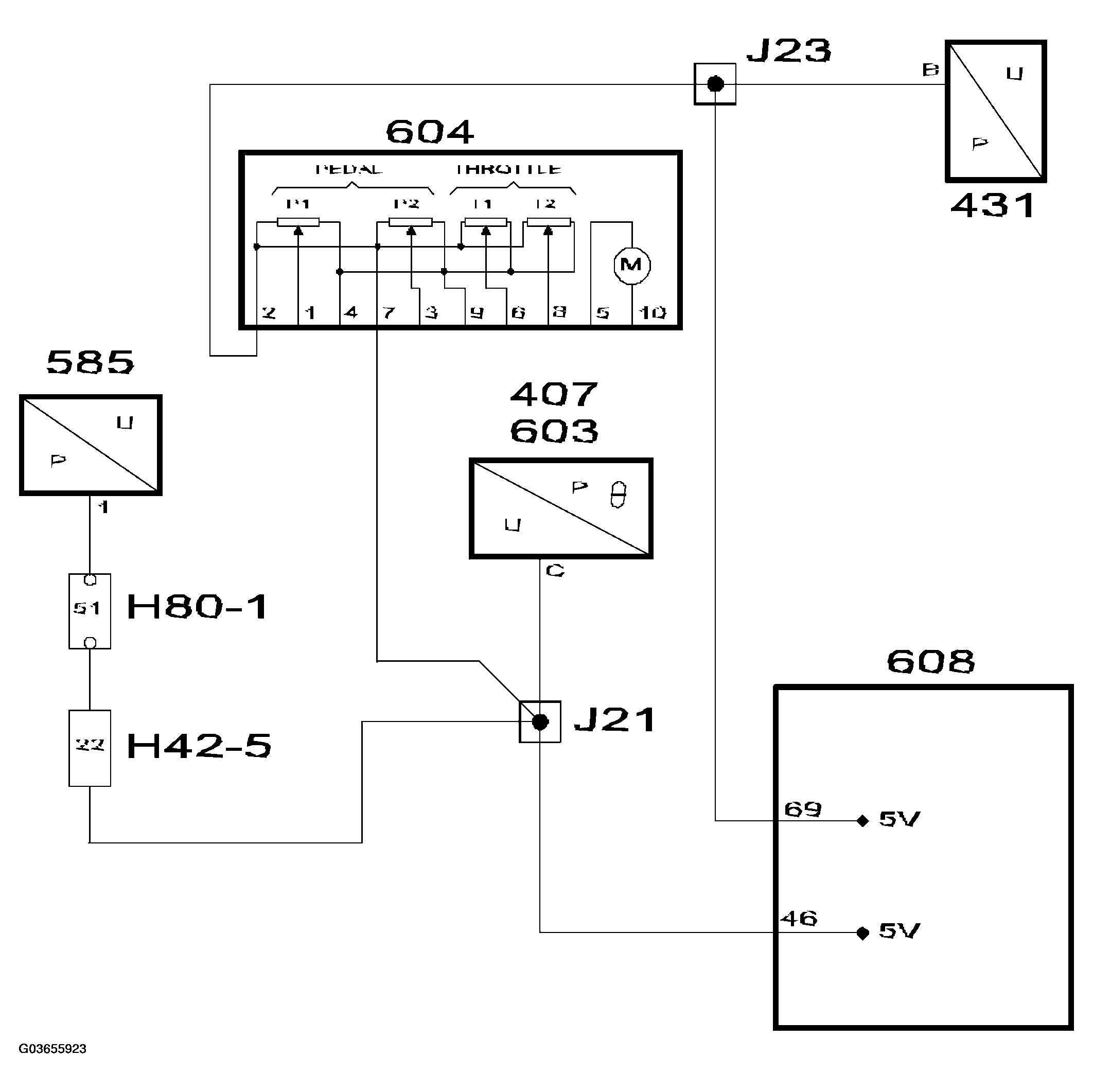 G03655923