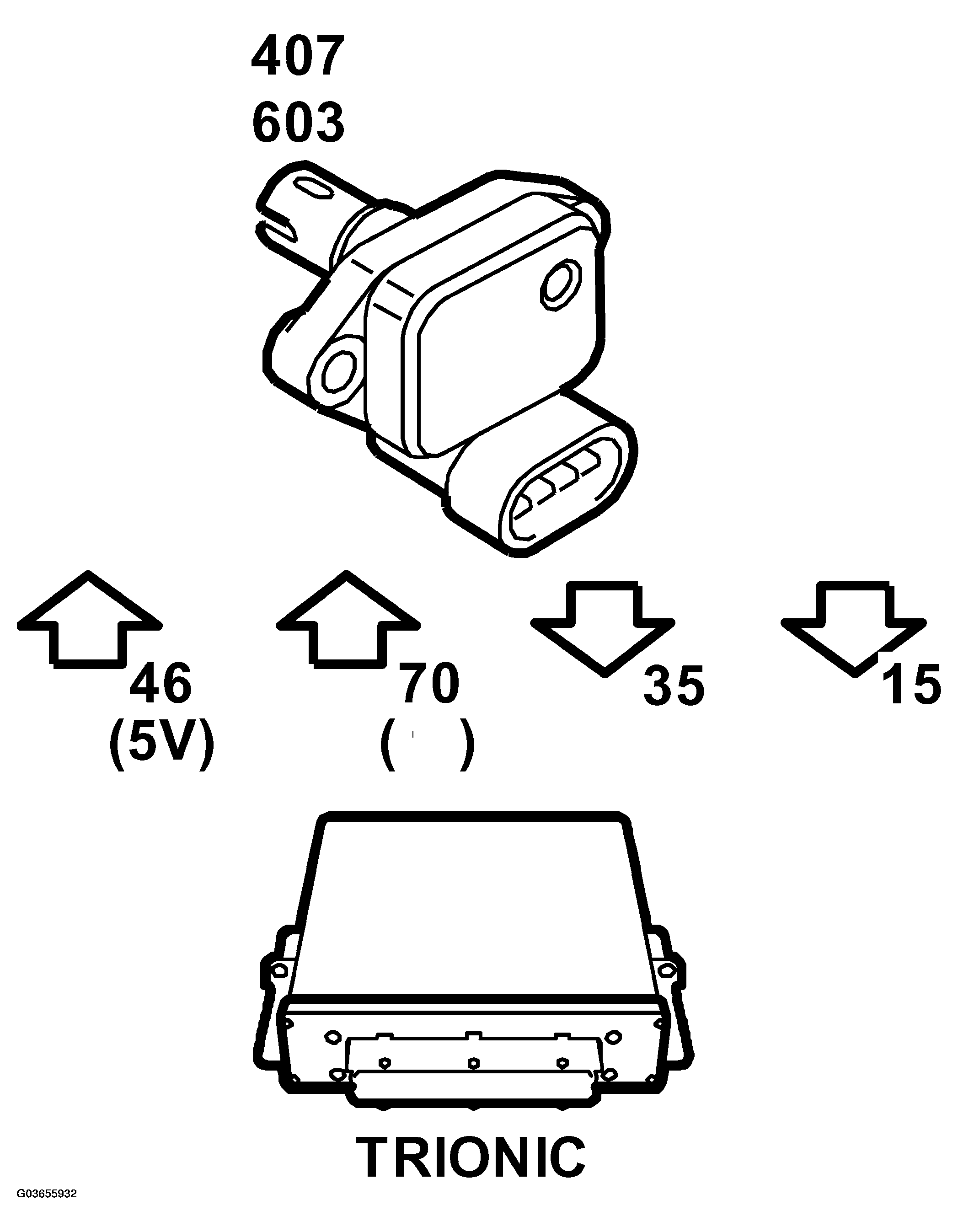 G03655932