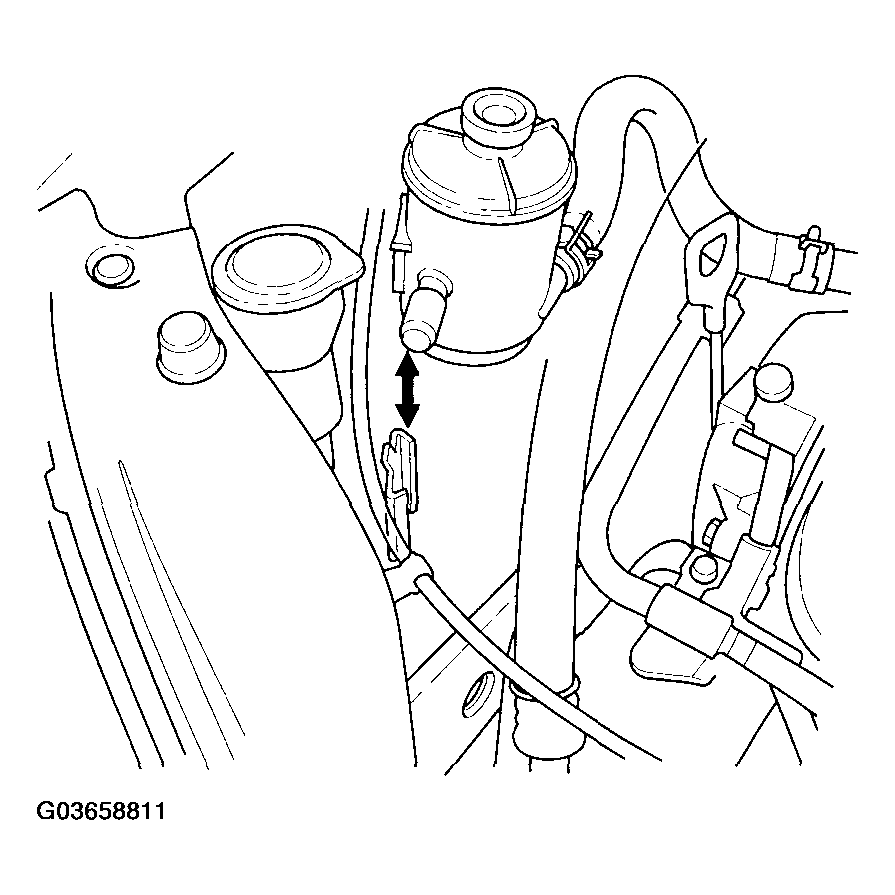 G03658811