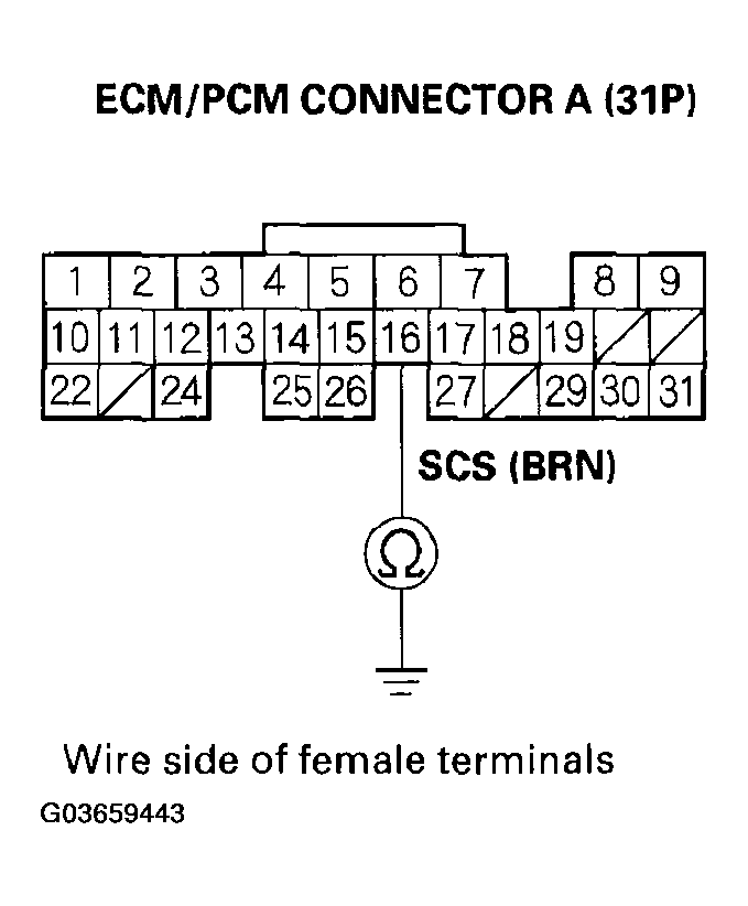 G03659443