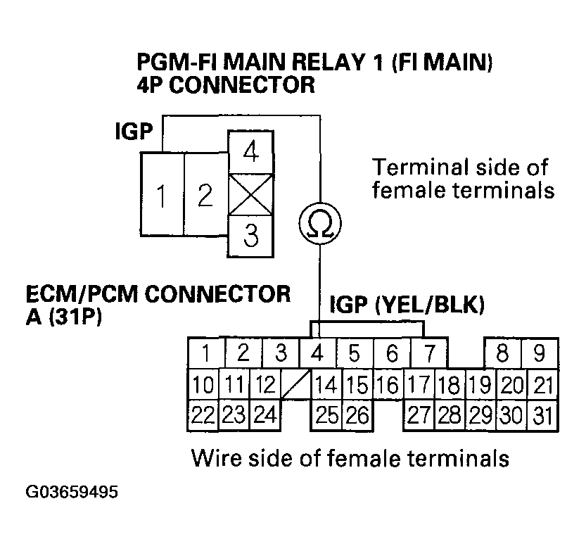G03659495
