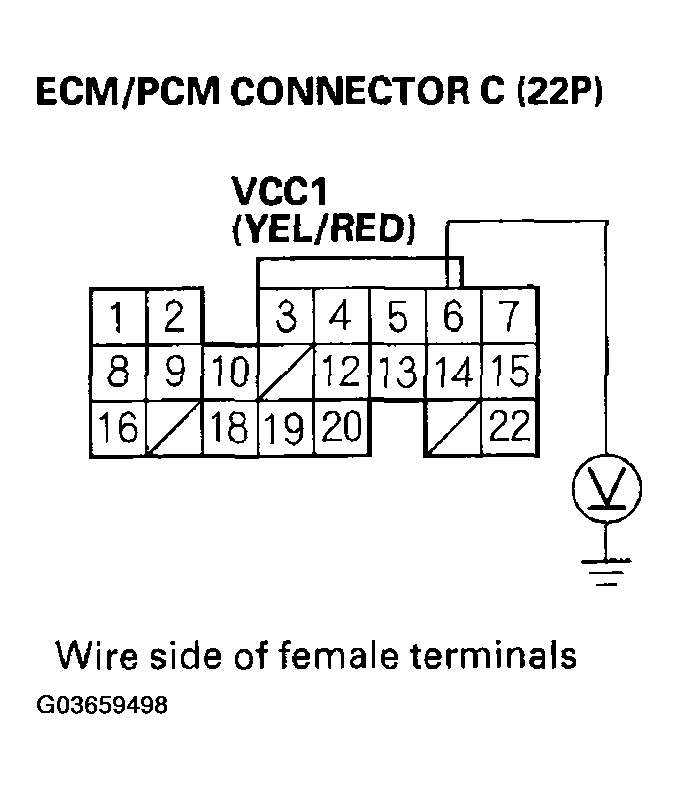 G03659498