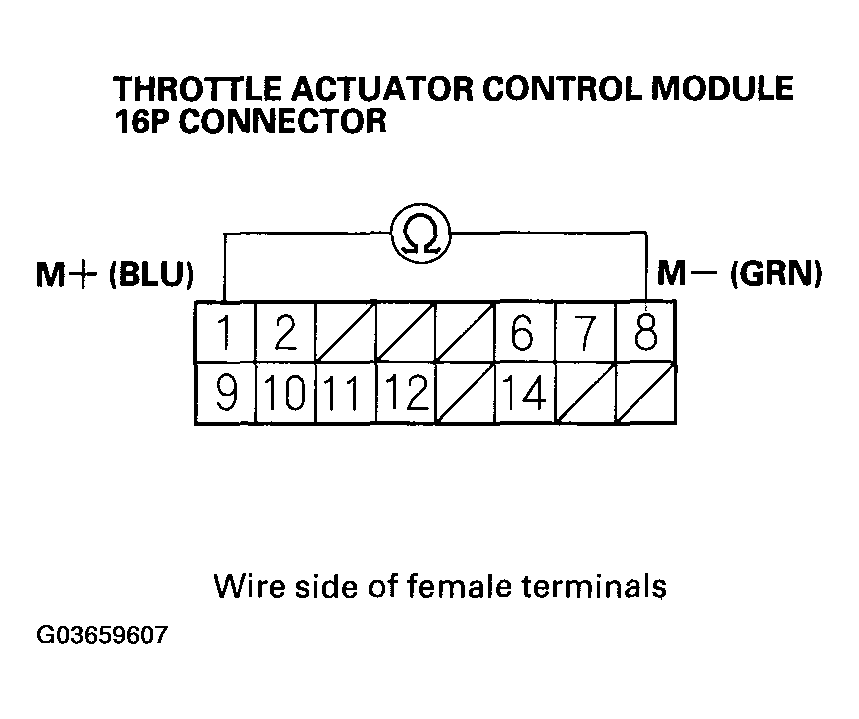 G03659607