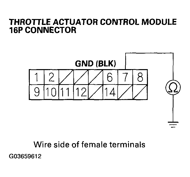 G03659612