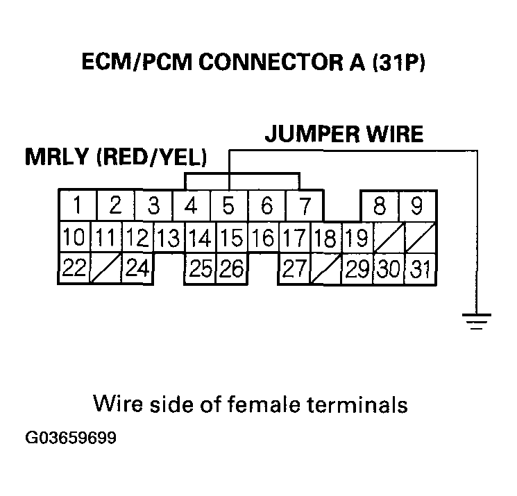 G03659699
