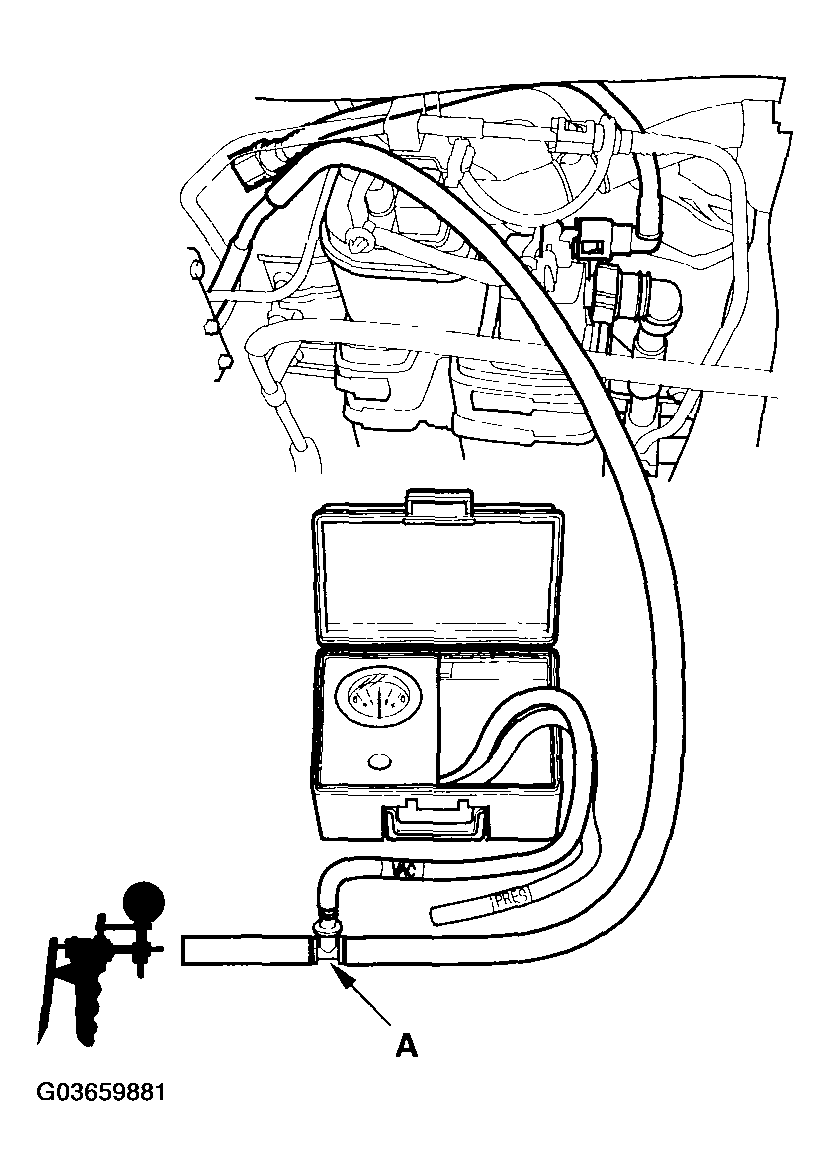 G03659881