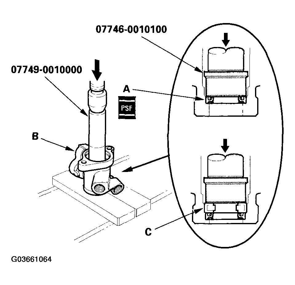 G03661064