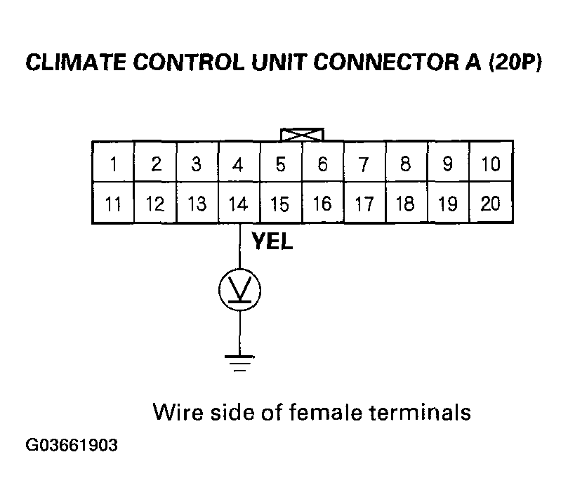 G03661903