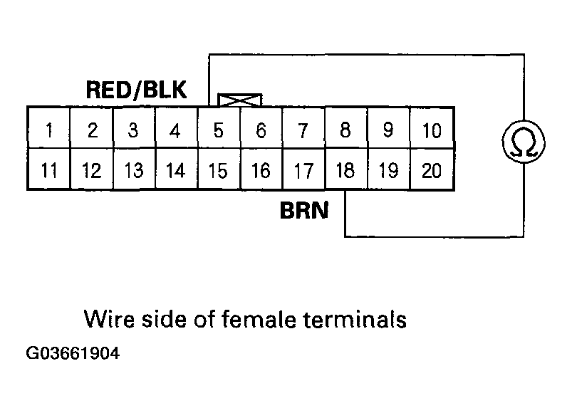 G03661904
