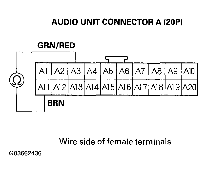 G03662436