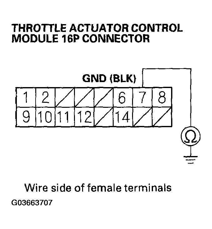 G03663707