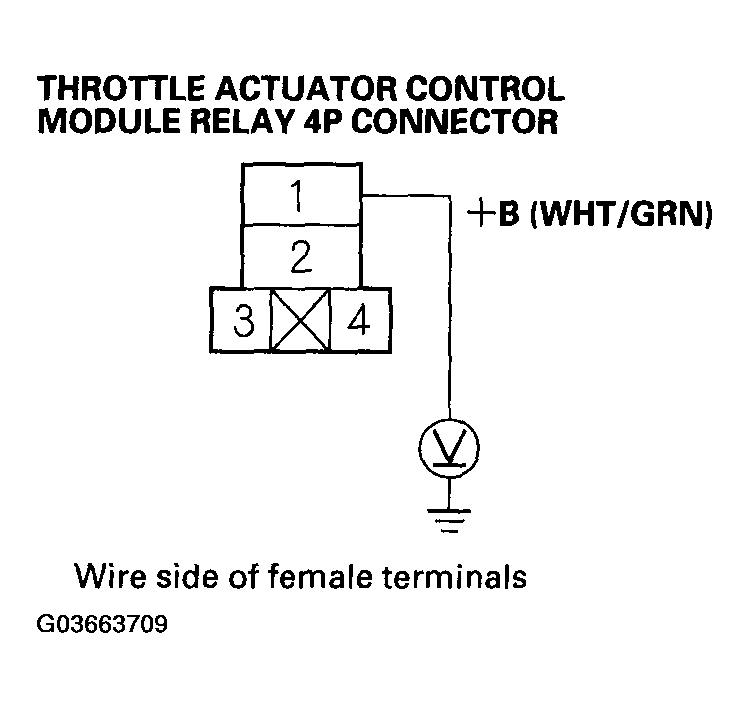 G03663709