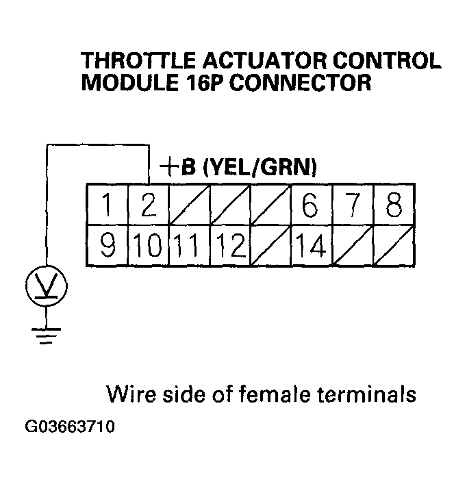 G03663710