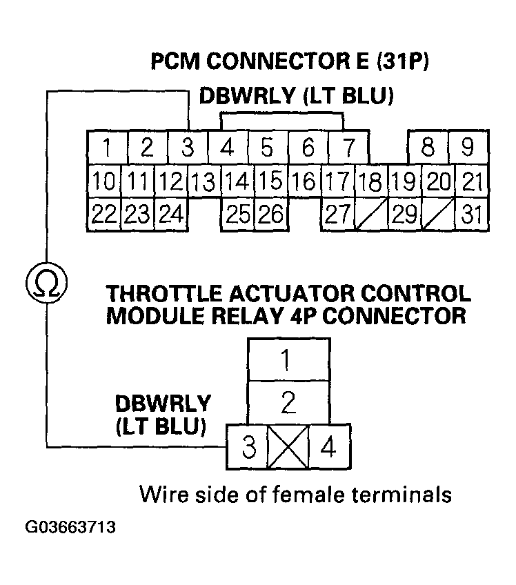 G03663713