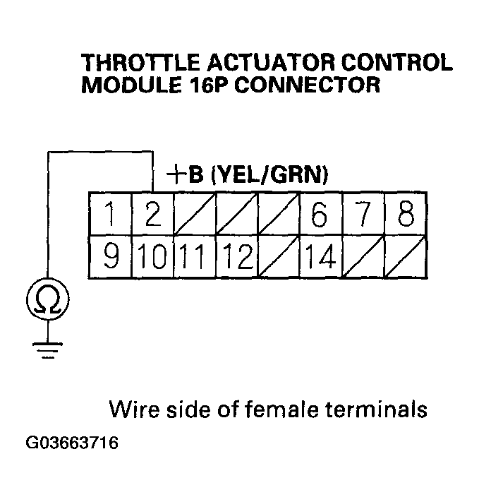 G03663716