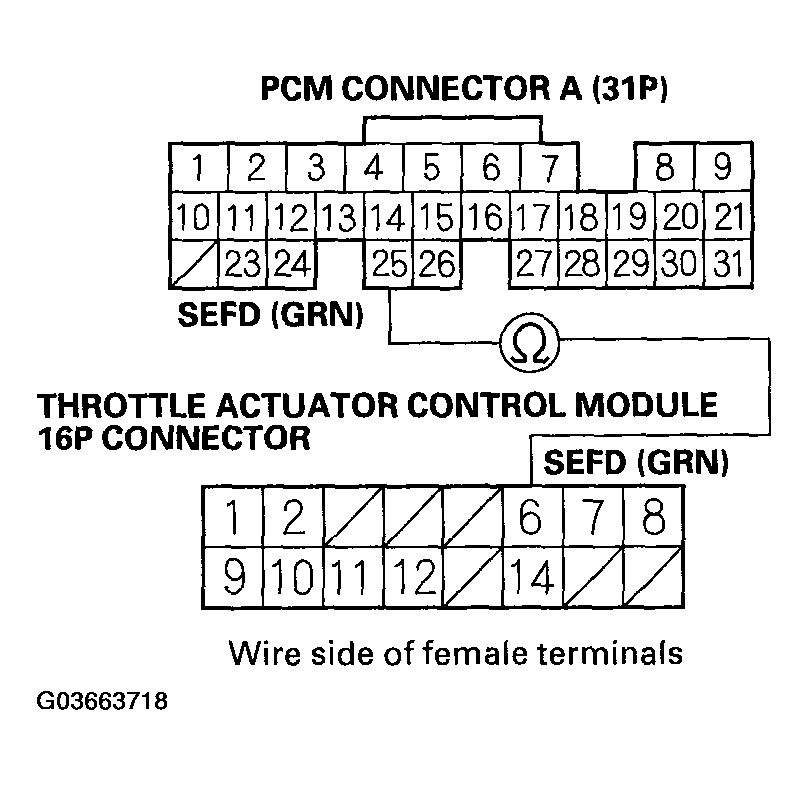 G03663718